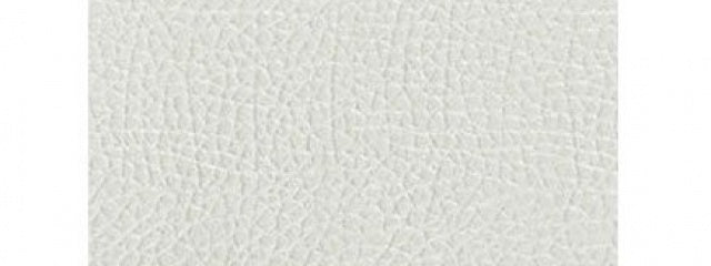 Coarse Leather