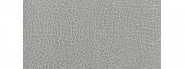 Coarse Leather